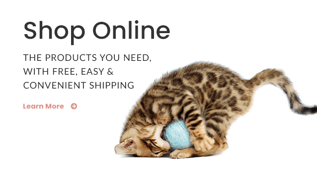 Shop Online Promo